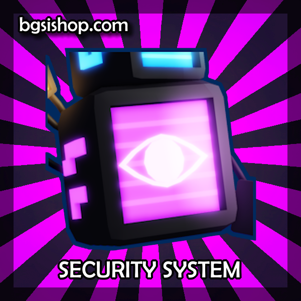 Security System