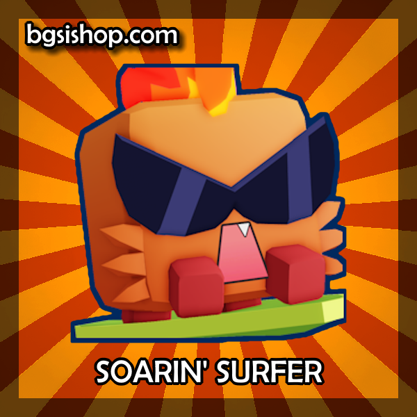 Soarin' Surfer