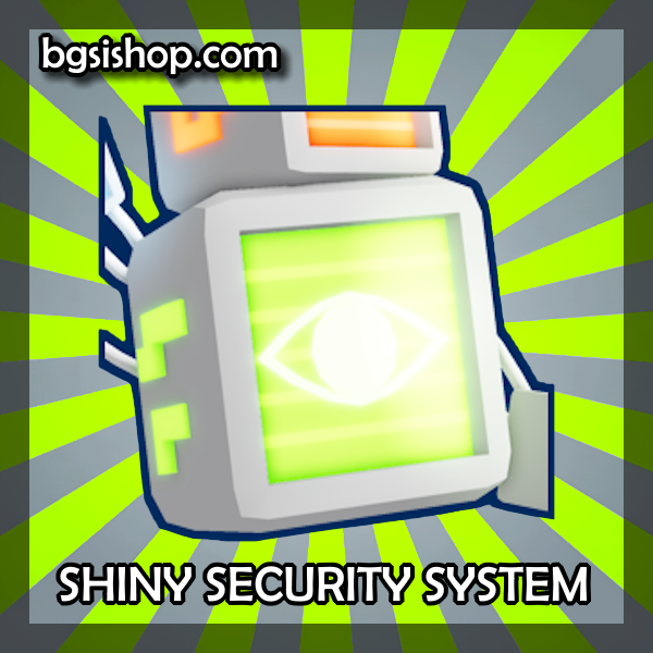 Security System
